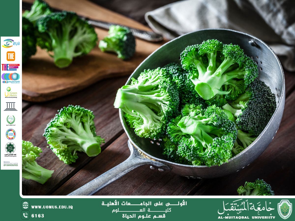 A scientific article by the lecturer (Assistant Professor Zainab Nazim Aziz) entitled “Broccoli”