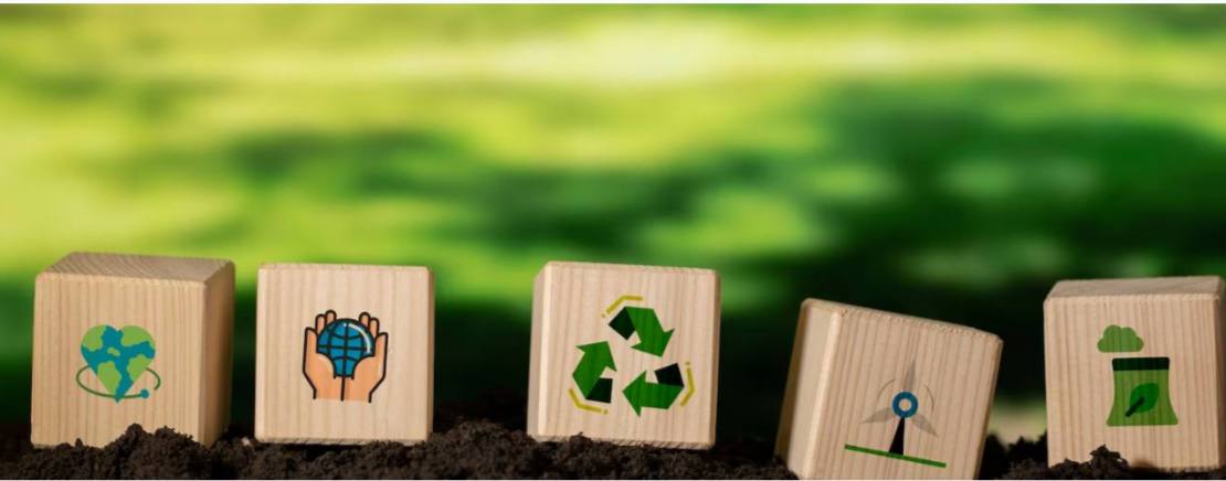 الاستدامة طريقنا نحو مستقبل أفضل