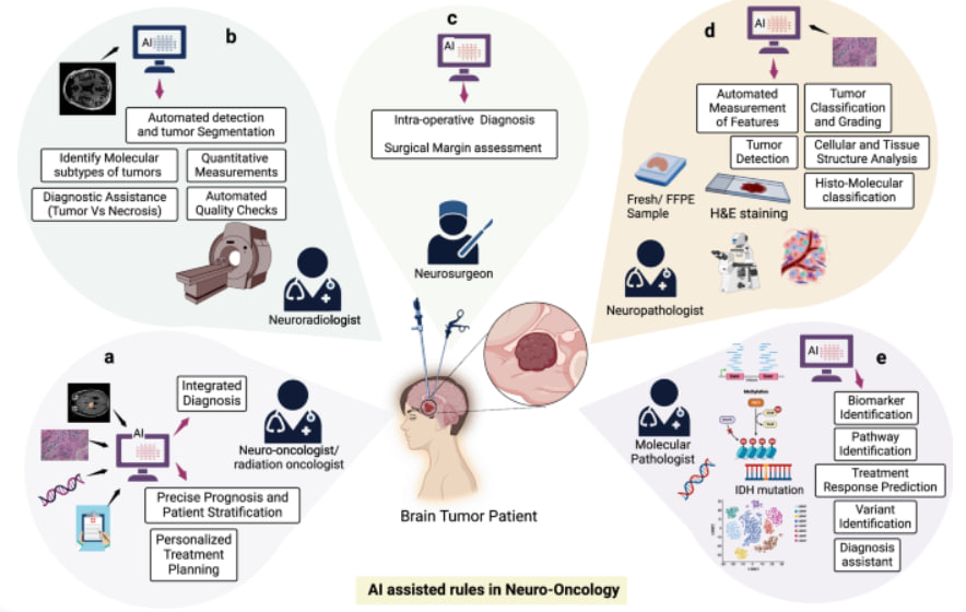 "تحليل كفاءة الخوارزميات الطبية في التصوير بالرنين المغناطيسي: دراسة مقارنة بين تقنيات الذكاء الاصطناعي التقليدية والعميقة