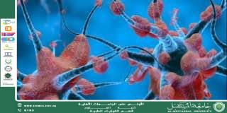 A scientific article by the teaching assistant (Maryam Latif Shandal) entitled “The Nervous System: The Body’s Control Network”
