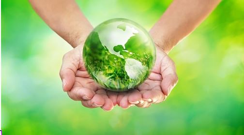 الاستدامة في الغذاء: من المزرعة إلى المائدة