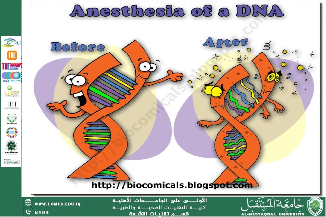 مقالة علمية بعنوان " التخدير العصبي المحوري كتخدير عام يُلحق الضرر بالحمض النووي " بقلم  التدريسية نور صباح جبر 