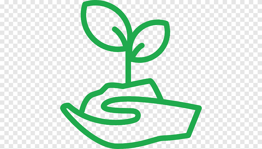 الاستدامة والمرأة: شراكة في حماية الكوكب