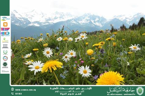 A scientific article by Ms. Nour El-Huda Azmi Hassan entitled "Environmental Impacts and Interaction with Nature of Flowering Plants"