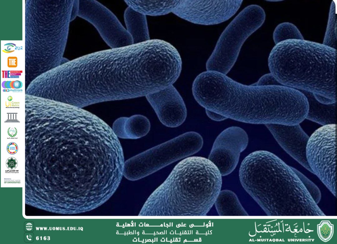 مقالة علمية للمعيدة زينب احمد عباس بعنوان (الفرق بين الفيروسات والبكتيريا )