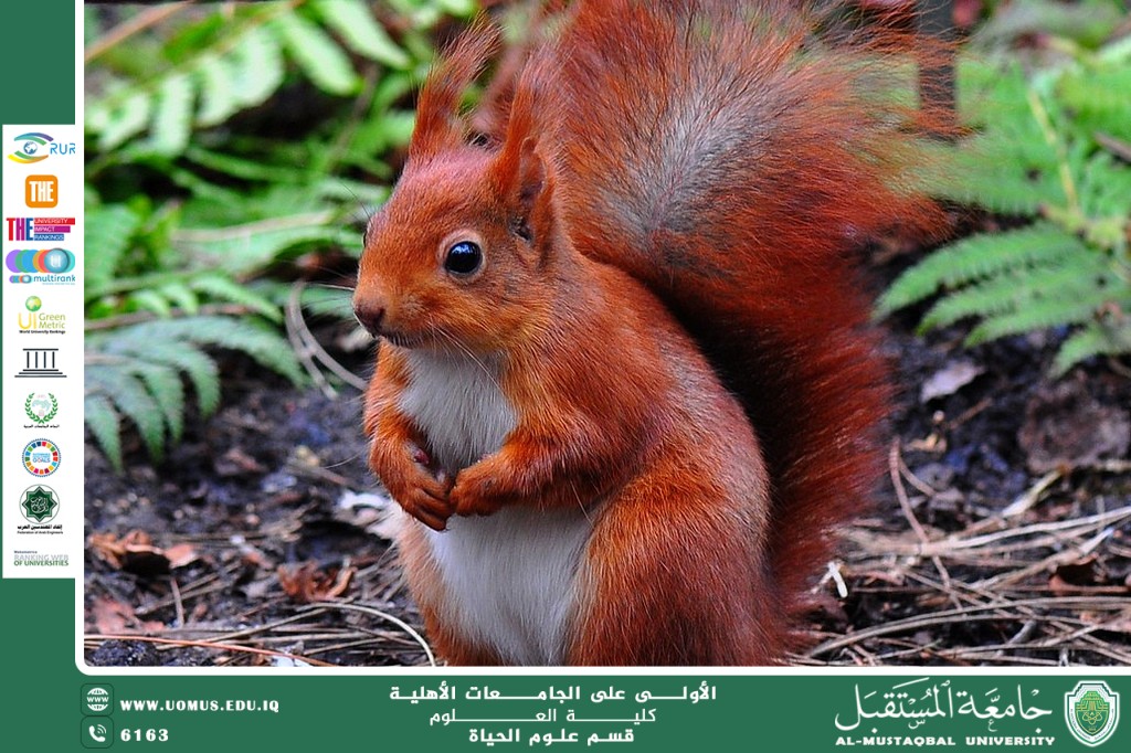 مقالة علمية للانسة نور الهدى عزمي حسم بعنوان "التكيفات الفسيولوجية للنباتات الحوية"