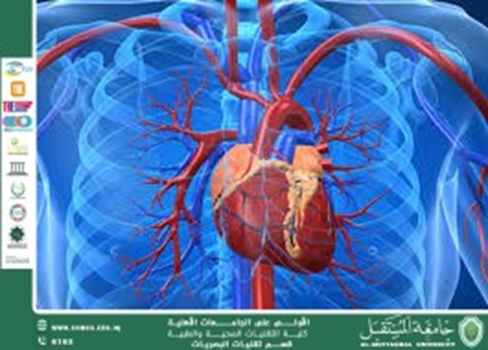 مقالة علمية للمعيدة تمارا نهاد عباس بعنوان (تأثير التغذية على صحة القلب)