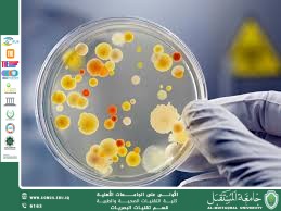 مقالة علمية للتدريسيةم.م.صفا عامر خليل بعنوان(دور علم الأحياء الدقيقة في معالجة المياه العادمة لتحقيق الاستدامة البيئية).