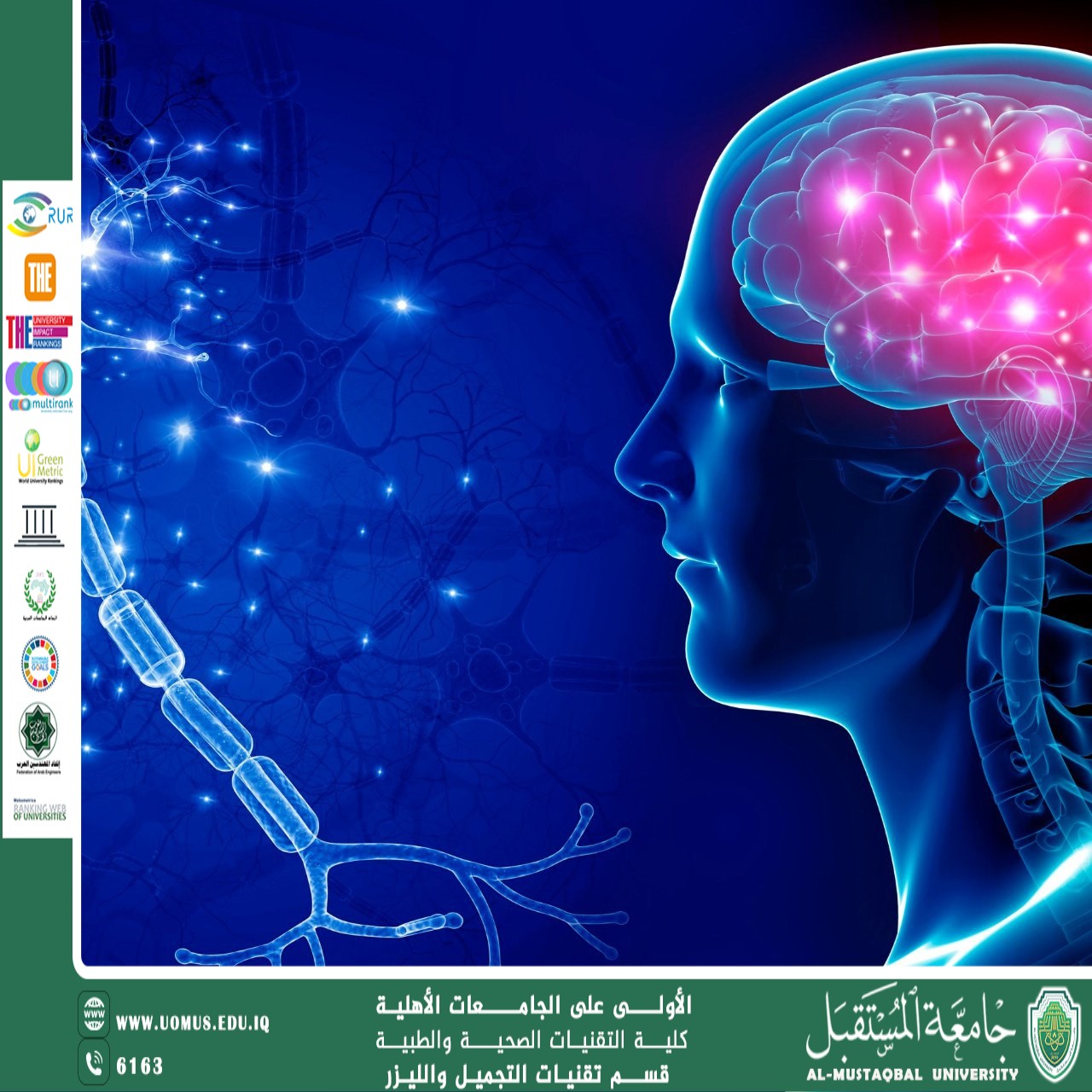 How Does the Brain Learn? A Scientific Look at the Learning Process