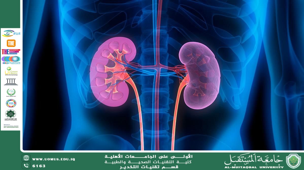 أمراض الكلى: الأسباب، التشخيص، والعلاج