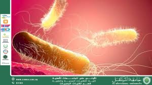 مقالة علمية للمعيدة تمارا نهاد عباس بعنوان (الأمراض المعدية: كيف نحمي أنفسنا في عالم متغير؟).