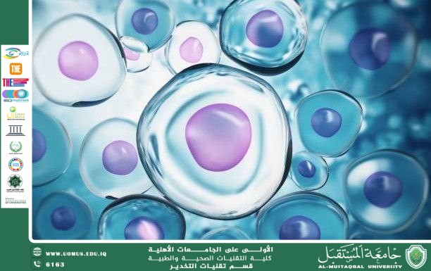 العقم عند النساء: الأسباب، التحديات، وسبل الوقاية