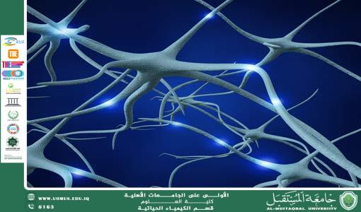 مقالة علمية للمعيدة سراب مسلم بعنوان اكتشاف نوع جديد للذاكرة قد يساعد في تفسير عملية التعلم واضطرابات الدماغ 