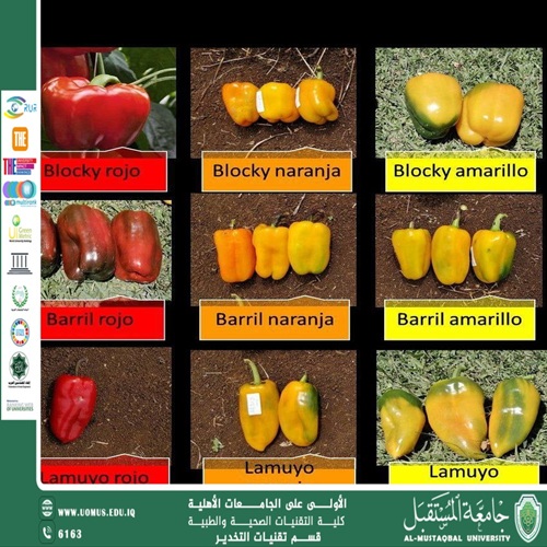 Smart Prosthetic Limbs: Engineering Innovations Enhancing Human Mobility  