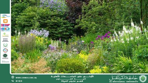 مقالة علمية للانسة نور الهدى عزمي حسن  بعنوان " النباتات المحلية كحلول بيئية لمكافحة التصحر وتعزيز الاستدامة"