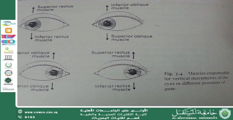 مقالة علمية لرئيس قسم تقنيات البصريات أ.م.د.منذر سمين شكر بعنوان(طريقة جديدة لمعالجة وزيادة الحدة البصرية بالتمارين الفيزيائية )