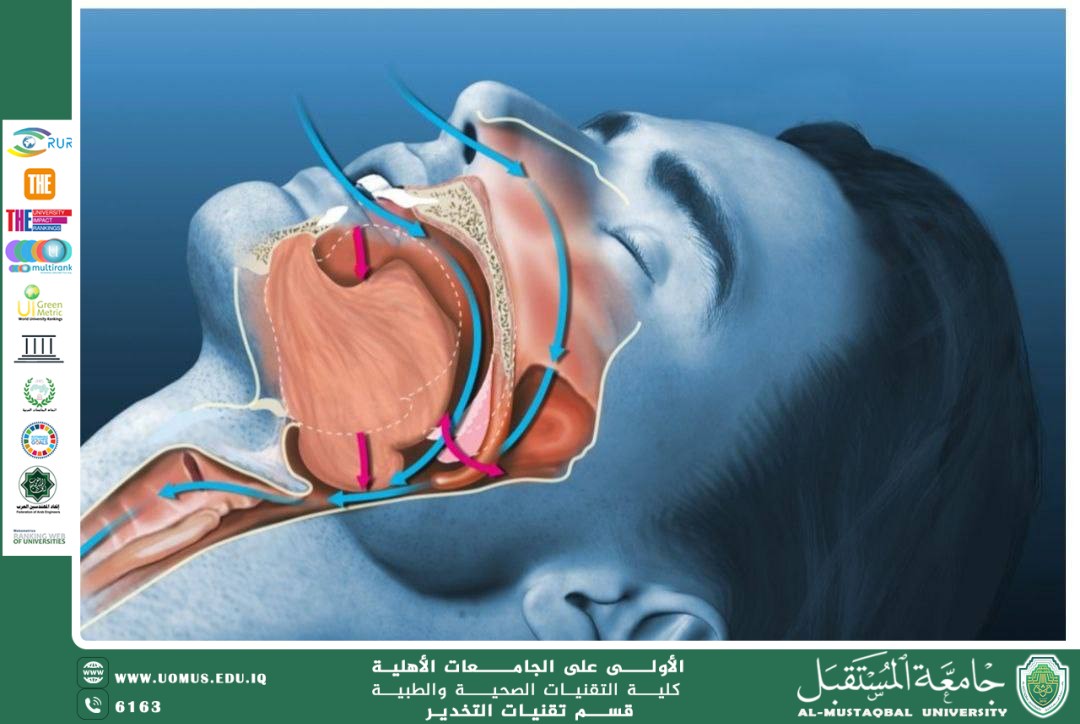 توقف التنفس أثناء النوم: الأسباب والأعراض والعلاج