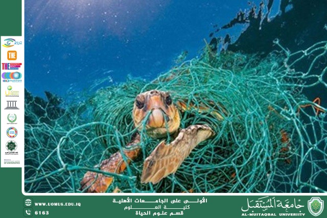 مقالة علمية للانسة نور الهدى عزمي حسن  بعنوان " أثر التلوث البلاستيكي على الوظائف الحيوية في الكائنات البحرية"