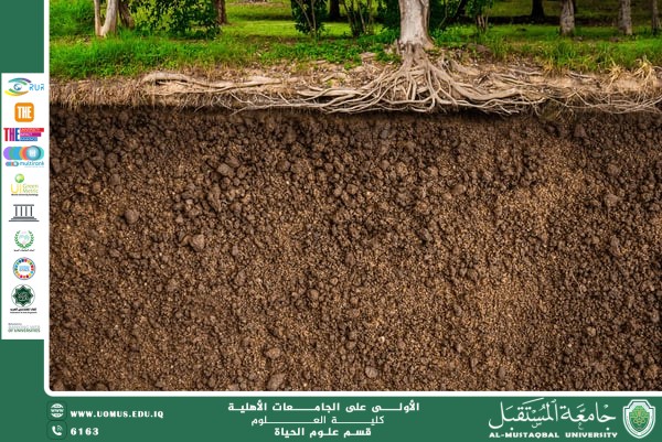 مقالة علمية للانسة نور الهدى عزمي حسن بعنوان "الخصائص الفيزيائية والكيميائية لأنواع التربة وتأثيرها على الإنتاج الزراعي"