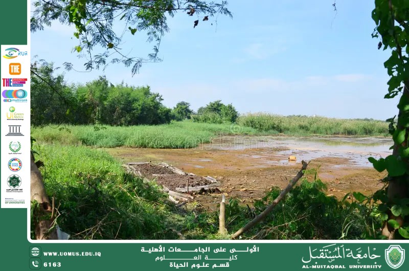 مقالة علمية للانسة نور الهدى عزمي حسن بعنوان "تأثير نوع التربة على التلوث الكيميائي وانتقال المعادن الثقيلة إلى النباتات"