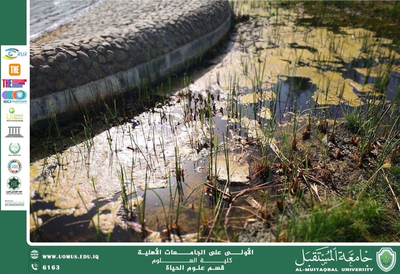 مقالة علمية للانسة نور الهدى عزمي حسن بعنوان "الأعشاب كمؤشر بيولوجي لتلوث التربة والمياه"