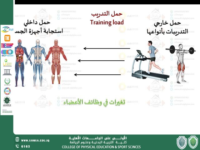 مقاله للتدريسية م.م لينا محي هادي 