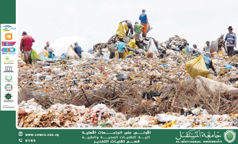 تأثير التلوث البلاستيكي على السلسلة الغذائية وصحة الإنسان  