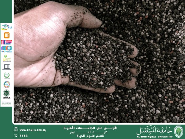 مقالة علمية للانسة نور الهدى عزمي حسن بعنوان "  تأثير الأسمدة العضوية والبيولوجية على نمو المحاصيل وجودتها "