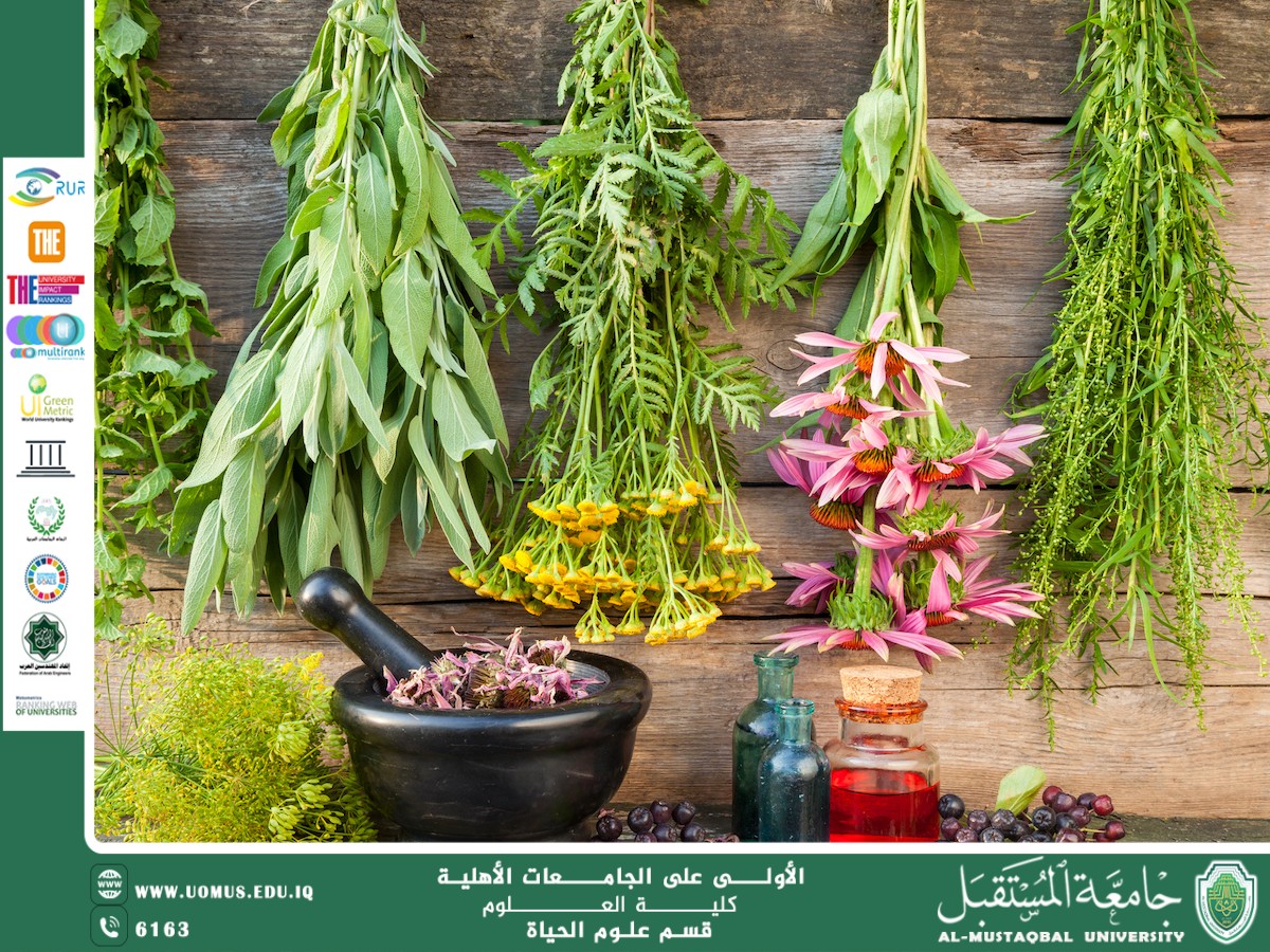 مقالة علمية للانسة نور الهدى عزمي حسن بعنوان "العلاج النباتي في ضوء الاكتشافات الجينية: الأعشاب الطبية ومستقبل الطب الشخصي "