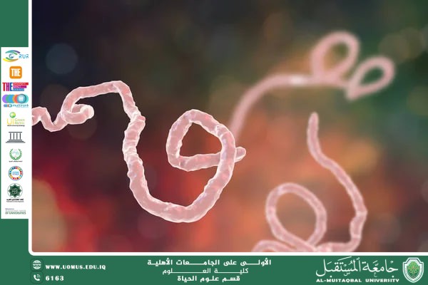 مقالة علمية للانسة نور الهدى عزمي بعنوان الديدان في السلاسل الغذائية: دورها البيئي كمحللات ومصدر غذائي