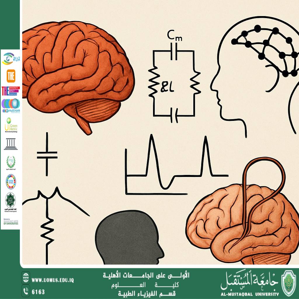 A scientific article by the teaching assistant (Hanin Hani) entitled “Electrical Modeling of Brain Activity: Applications in Neurophysics”