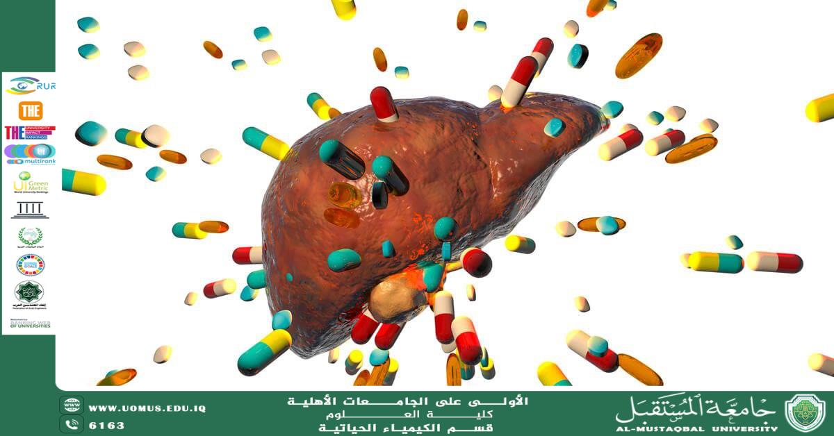 مقالة علمية للمعيدة عذراء عباس بعنوان التسمم الكبدي الناتج عن الإفراط في استخدام العقاقير: الأسباب والآليات وسبل الوقاية"