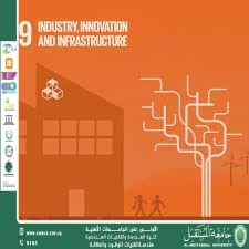 SDG 9: Industry, Innovation and Infrastructure in Iraq