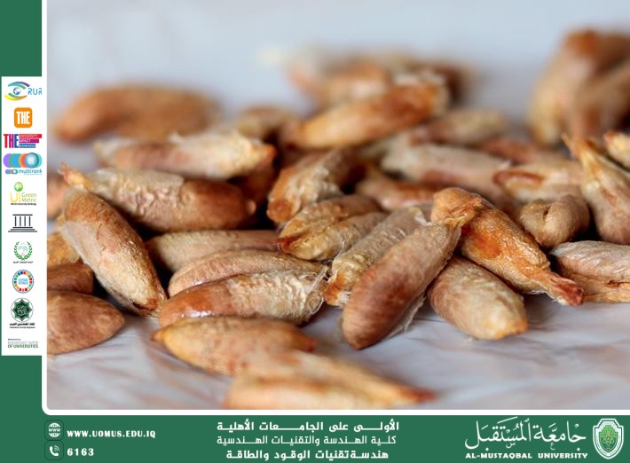Biofuel from date palm seeds