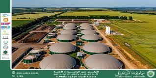 Biomethane plants in developed countries
