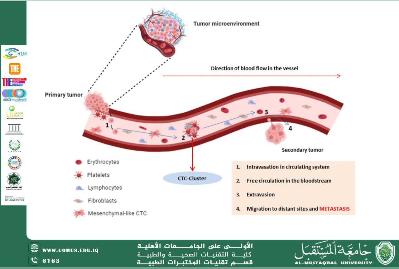 مقالة علمية للسيدة بنين تركي عرموط بعنوان  تحليل خلايا الورم المنتشرة في الدم (CTCs - Circulating Tumor Cells    
