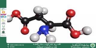 مقالة علمية للمعيدة ايلاف علي بعنوان الأحماض الأمينية: اللبنات الأساسية للحياة