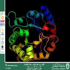 مقالة علمية للمعيدة حوراء علي بعنوان دور الإنزيمات في المسارات الأيضية: دراسة تحليلية
