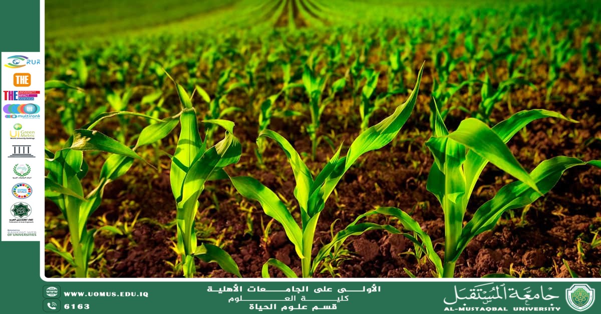 A scientific article by Ms. Nour El-Huda Azmi Hassan entitled "The Role of Agricultural Microbiology in Enhancing Soil Fertility"