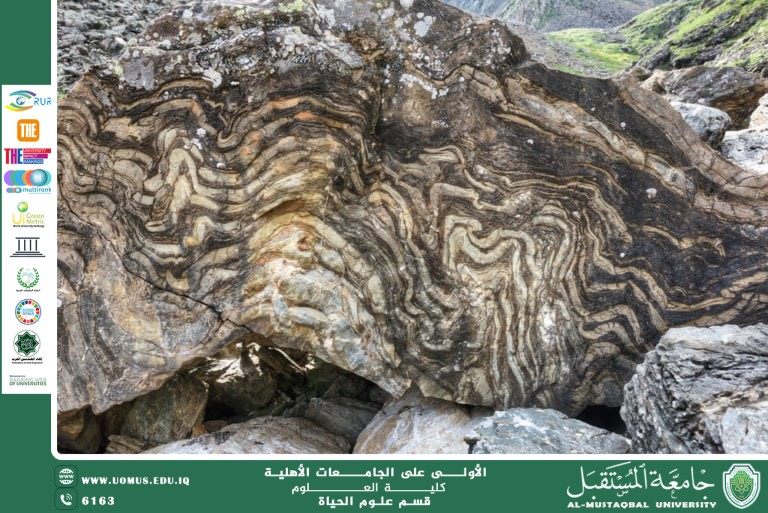 مقالة علمية للانسة نور الهدى عزمي حسن بعنوان علم الصخور 