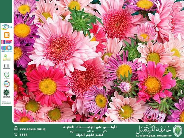 مقالة علمية للانسة نور الهدى عزمي حسن بعنوان تركيب الأزهار ووظيفتها في التكاثر النباتي