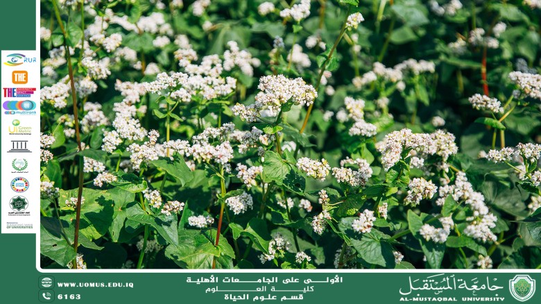 مقالة علمية للانسة نور الهدى عزمي حسن بعنوان كيفية استخدام الأزهار في تحسين جودة التربة الزراعية