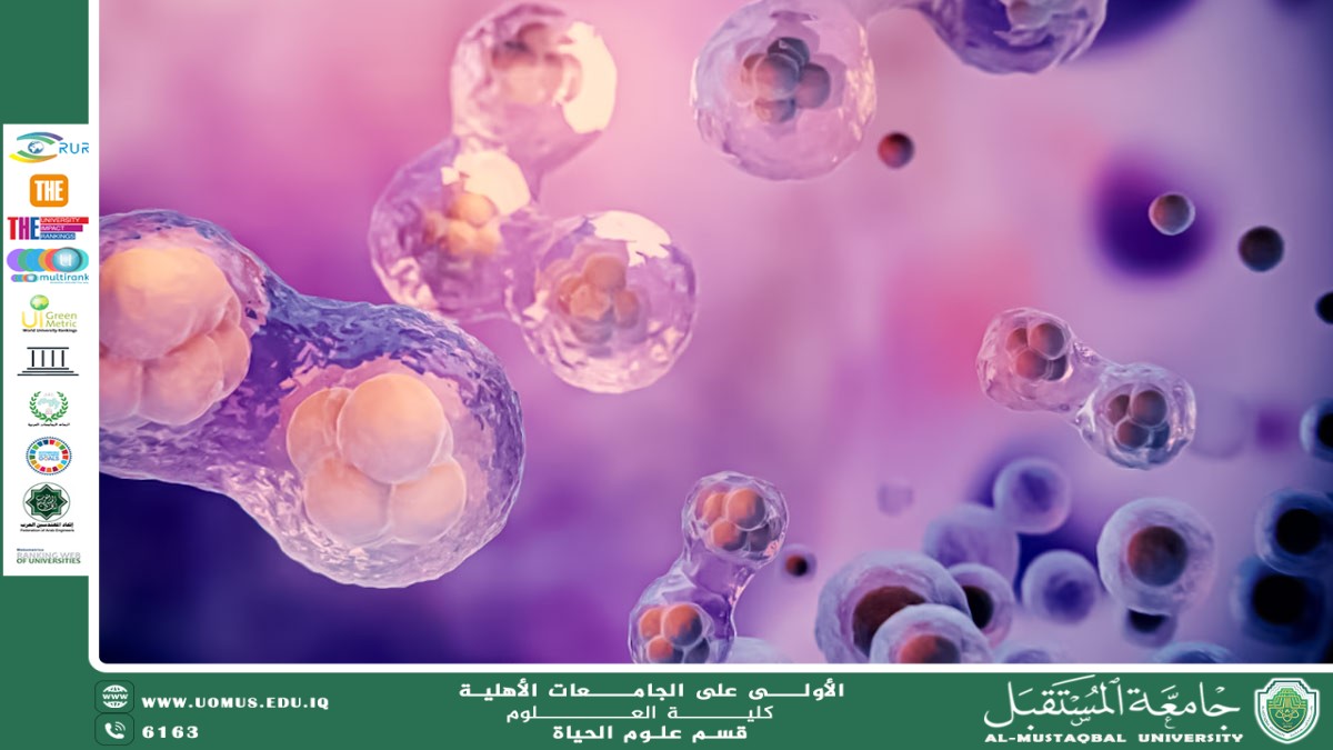 مقالة علمية للانسة نور الهدى عزمي حسن بعنوان  أهمية الخلايا الجذعية في الطب الحديث