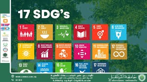 SDG 17 in Iraq