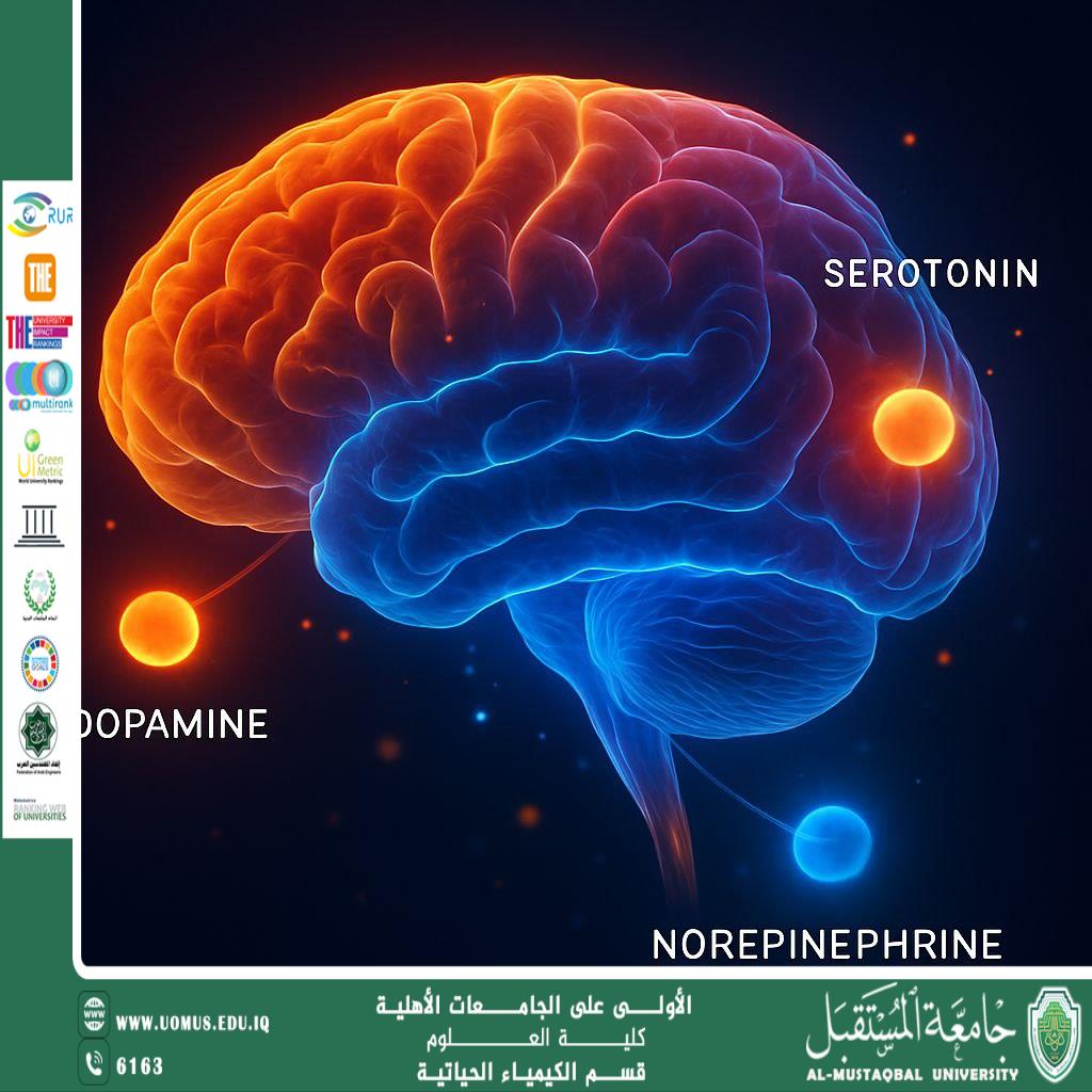 مقالة علمية للتدريسي م.م احمد محمد يوسف بعنوان الكيمياء الخفية داخل عقولنا: كيف تتحكم التفاعلات الكيميائية في مشاعرنا؟