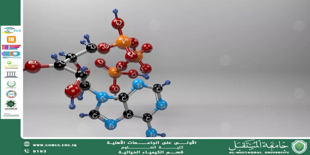 مقالة علمية للدكتور كرار مجيد عبيد بعنوان الطاقة في الخلية: دور الأدينوسين ثلاثي الفوسفات (ATP) في الكيمياء الحيوية