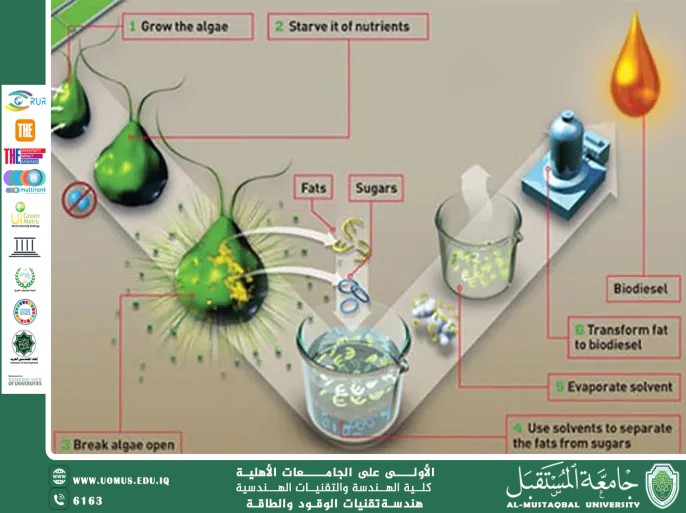 إنتاج الوقود من البكتيريا المعدّلة جينيًا: حدود التقنية والأخلاقيات
