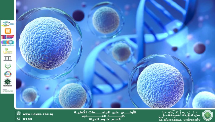 مقالة علمية للانسة نور الهدى عزمي حسن بعنوان " تطبيقات الخلايا الجذعية في إصلاح الأنسجة التالفة"