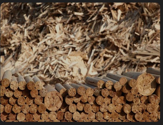  الاستفادة وإعادة تدوير نشارة الخشب: نحو بيئة أكثر استدامة