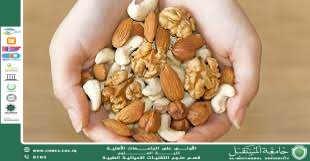 مقاله علمية ل( هبه صلاح هادي ) بعنوان "المكسرات والحلويات "